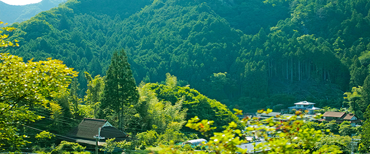 奈良の景色写真