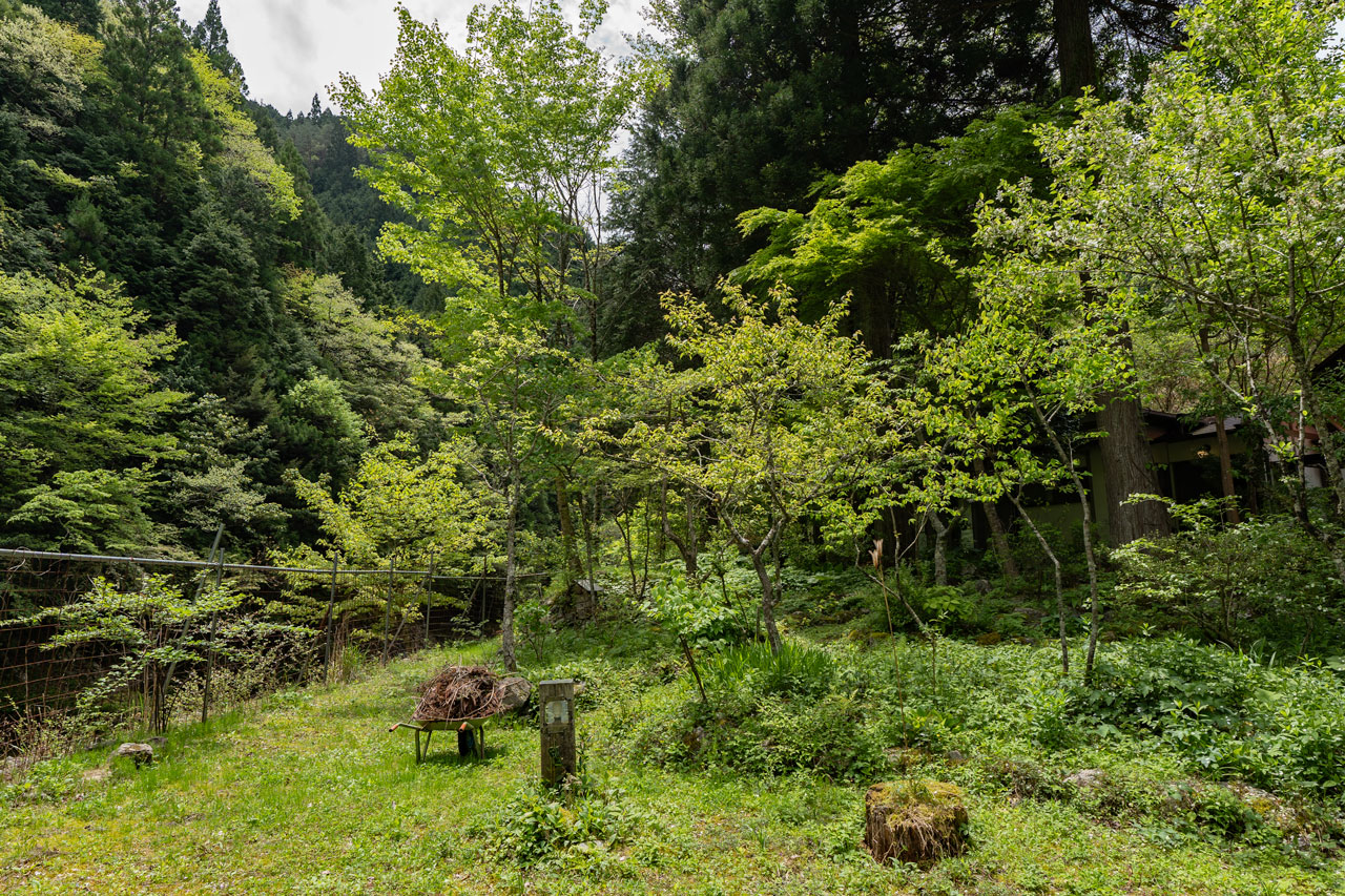 吉野郡野迫川村大字北今西：庭