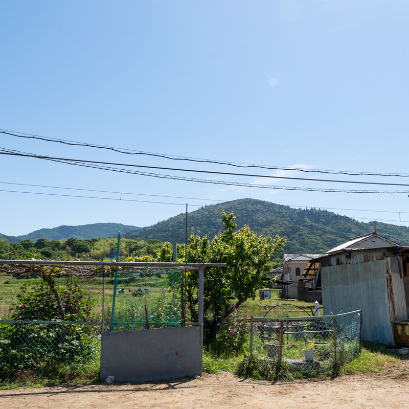 桜井市大字芝：三輪山の見える敷地