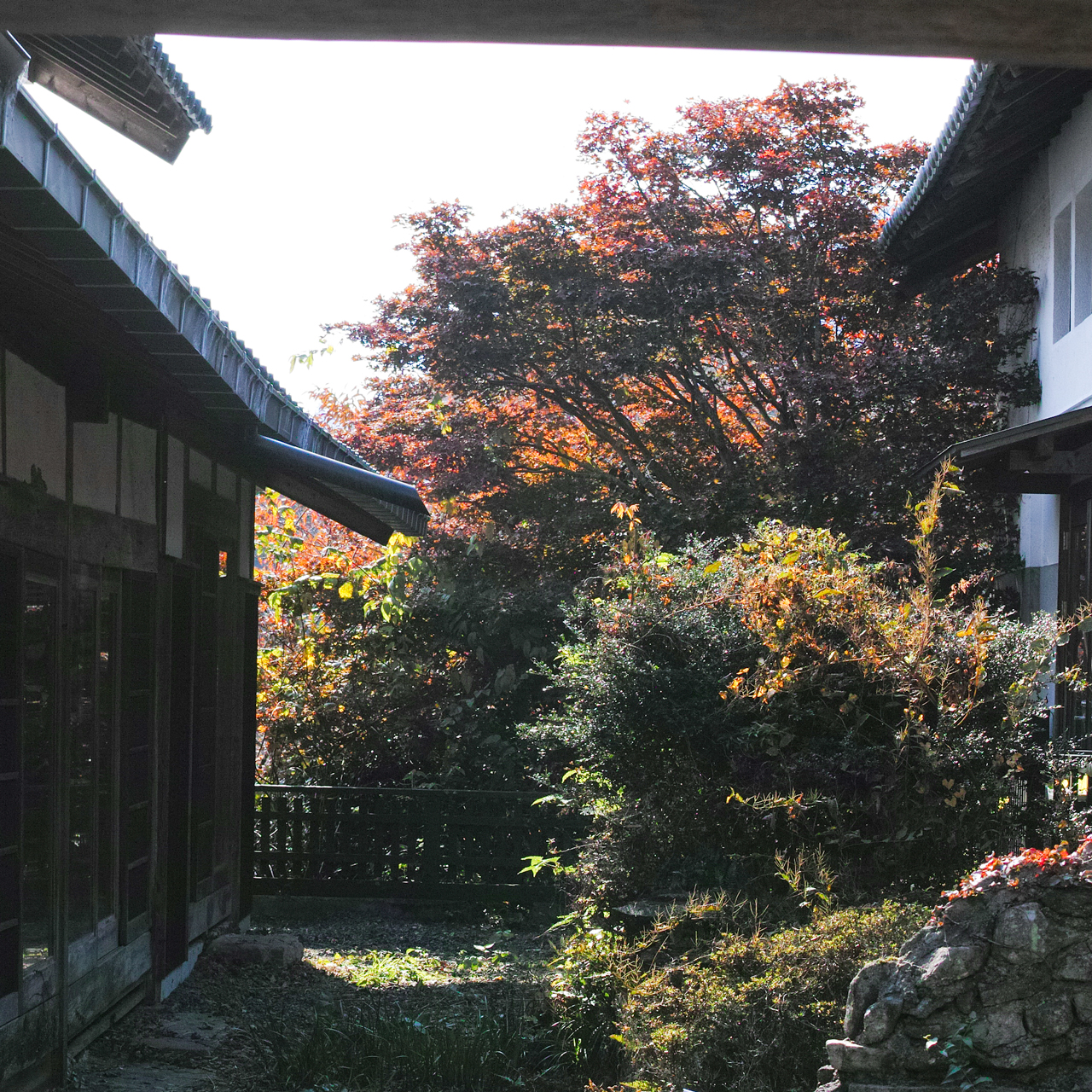 奈良県山辺郡山添村岩屋：紅葉写真