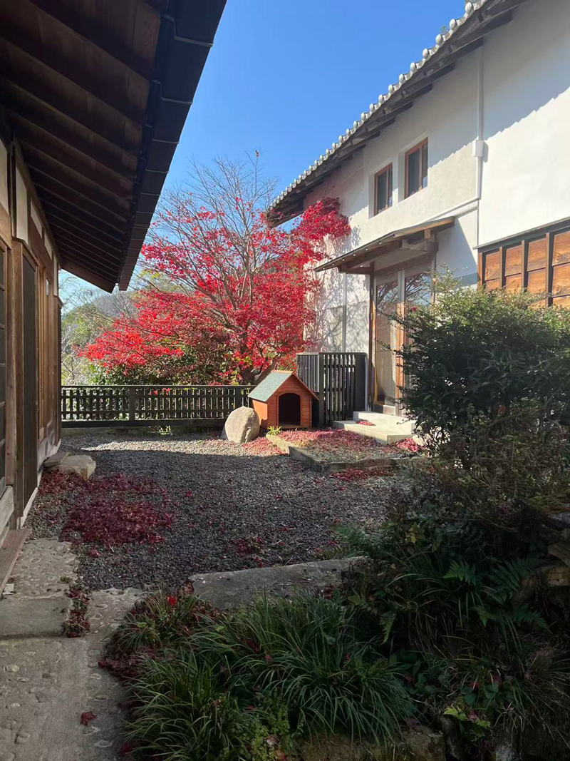 奈良県山辺郡山添村岩屋：近隣の景観写真