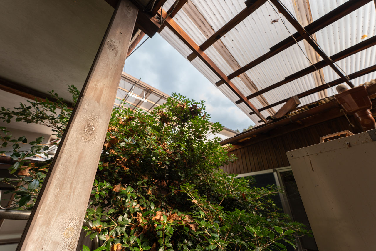 奈良県宇陀市大宇陀中新:中庭写真