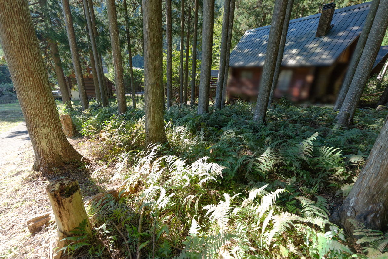 吉野郡東吉野村平野　：現地写真