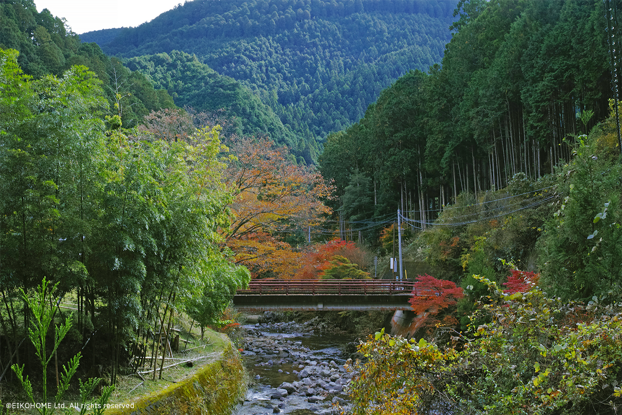 近隣の景色