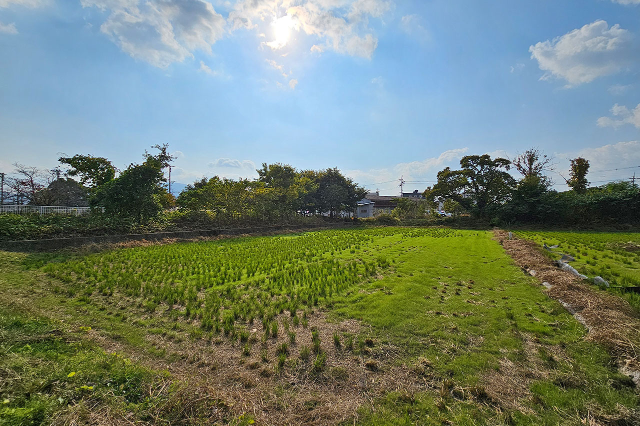 桜井市大字芝　：現地写真