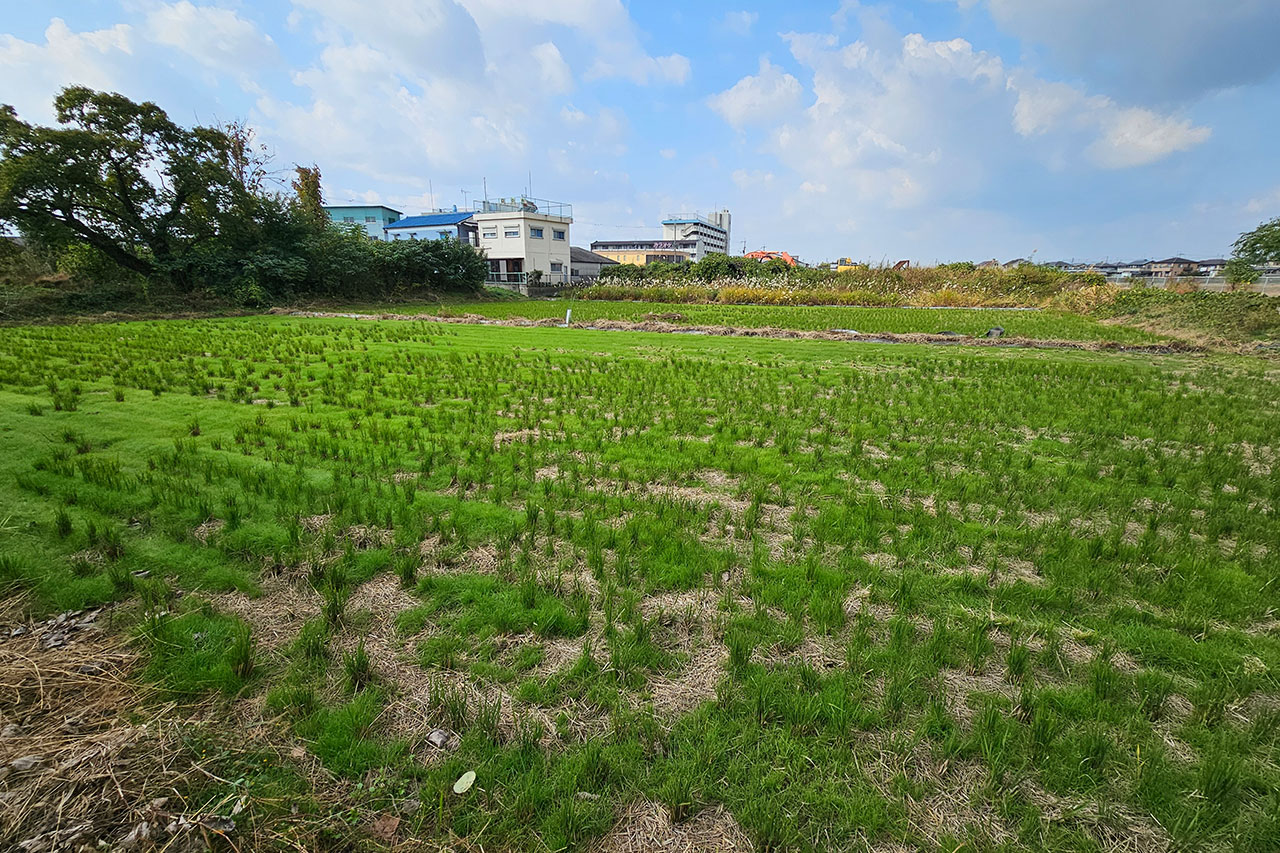 桜井市大字芝　：現地写真