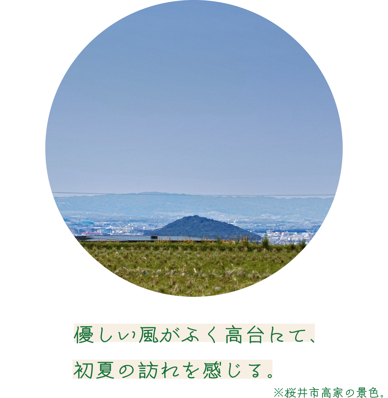 優しい風がふく高台にて、初夏の訪れを感じる。※桜井市高家の景色。