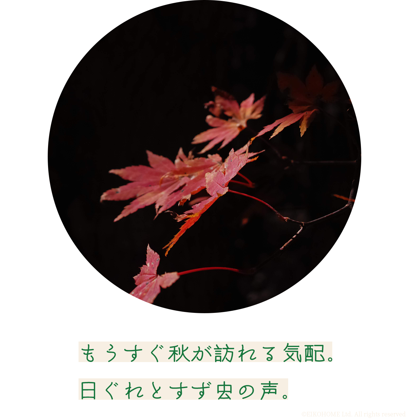 もうすぐ秋が訪れる気配。日ぐれとすず虫の声。