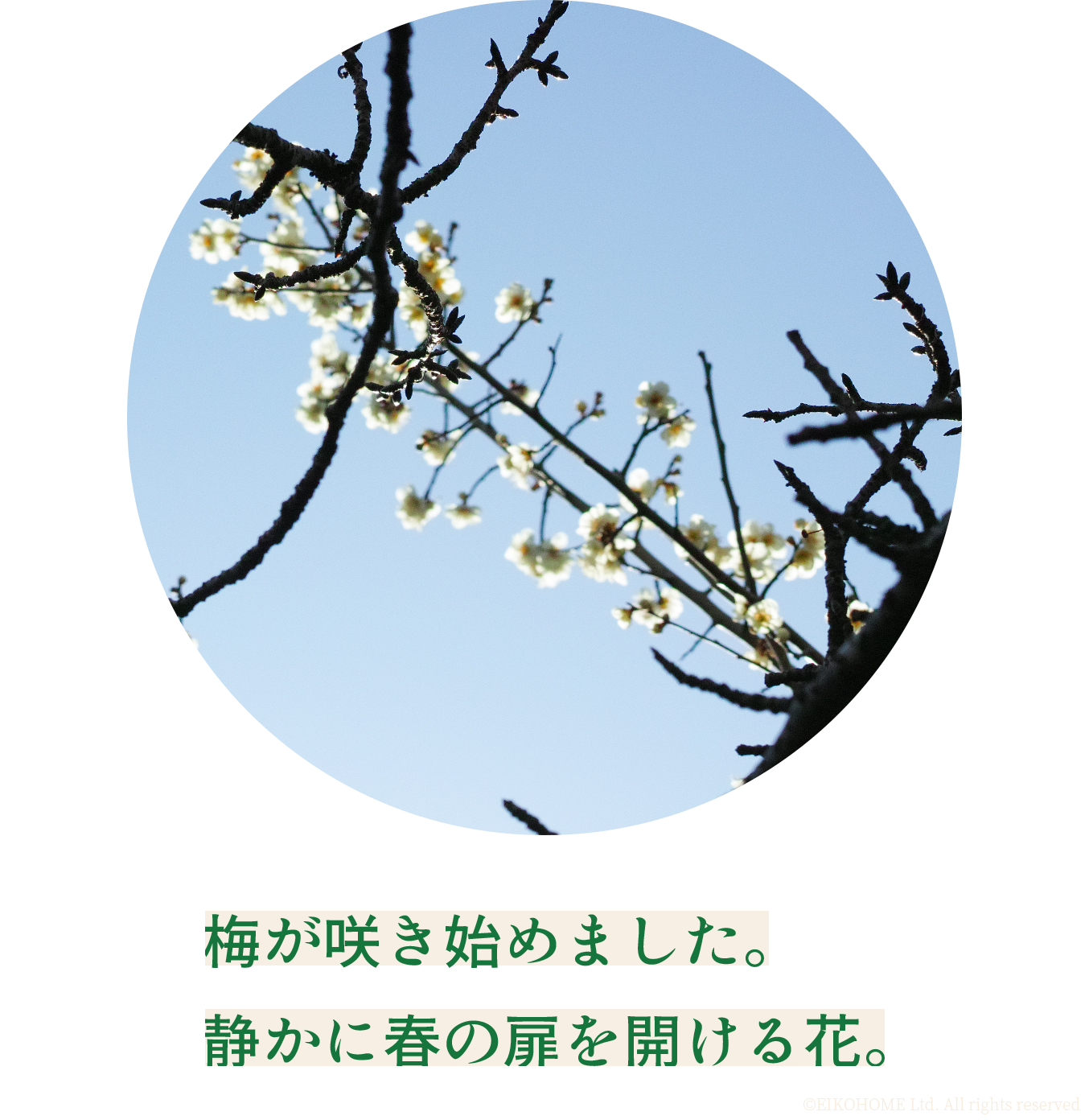 白い息と、雲のない青空。ワクワクする冬のはじまり。写真：大台ケ原の展望デッキより