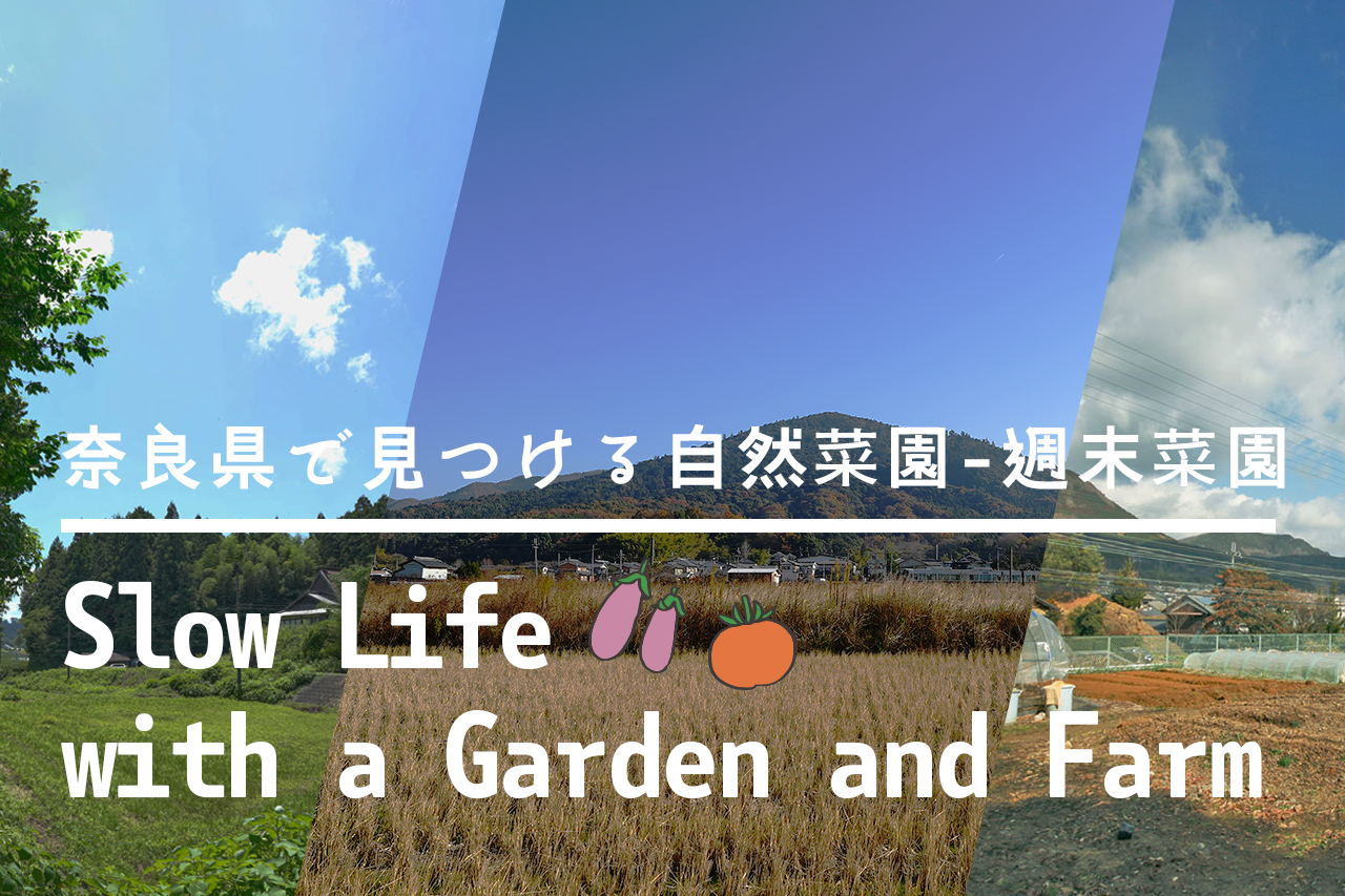 奈良県で見つける自然菜園-週末菜園